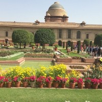 Mughal Gardens to open for public from Tuesday